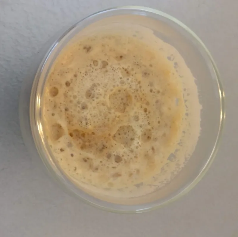 Ergebnis mit Druckfilter