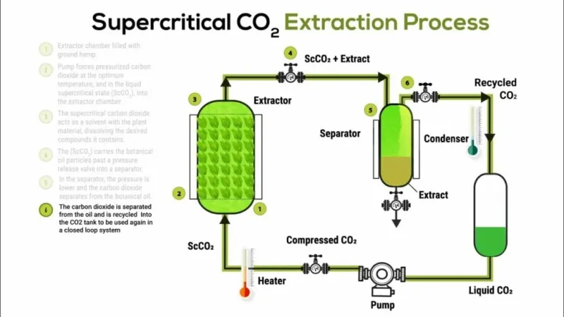 Schema CO2-Extraktion