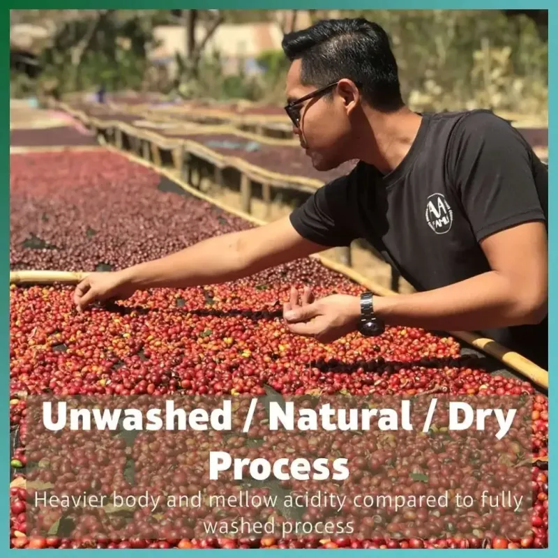 Honey Process - Schritte