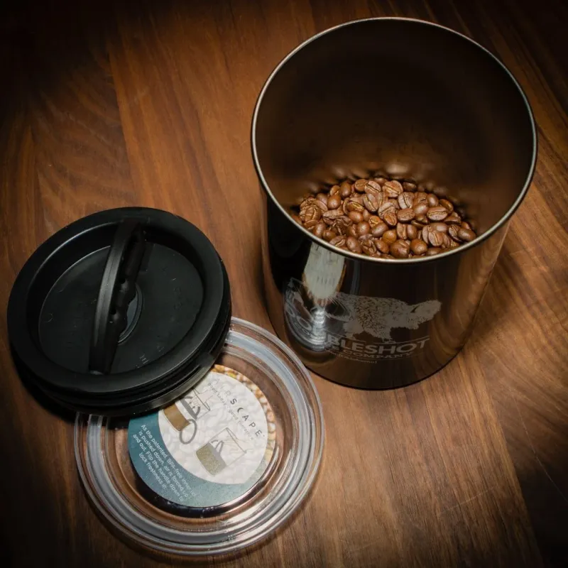 Airscape valve container