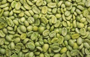 Grano de café verde