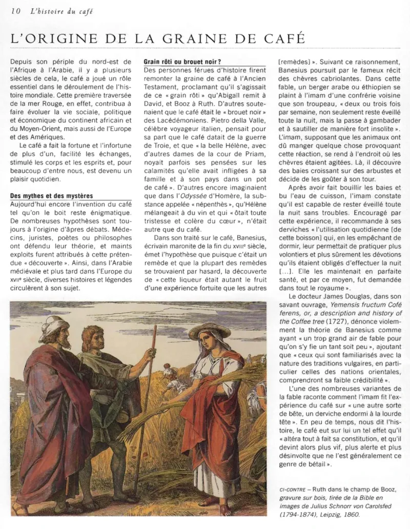 Página sobre el origen del café