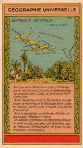 Plantación de café en México