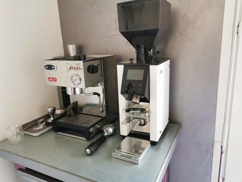 Molino de café BZF64 de BPlus