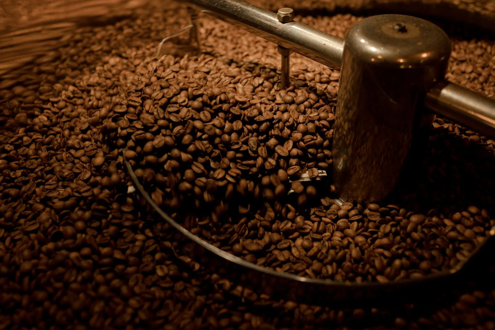 Dégazage du café : pourquoi attendre avant de l'infuser ?