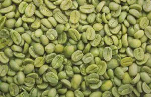Green coffee bean