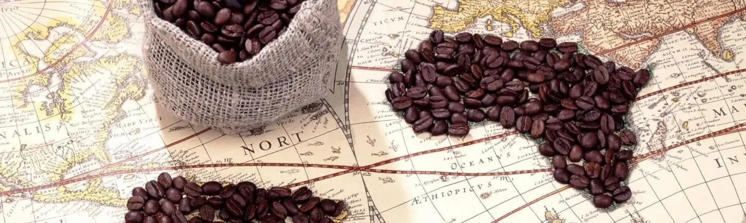 Discover the incredible odyssey of coffee, from its jealously guarded Arabian origins to its worldwide conquest, including rivalries between colonial powers in the 17th century. A fascinating journey through the history of coffee and its role in international trade.