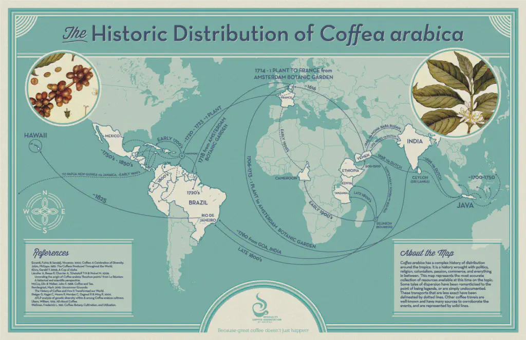 Map of Arabica coffee propagation