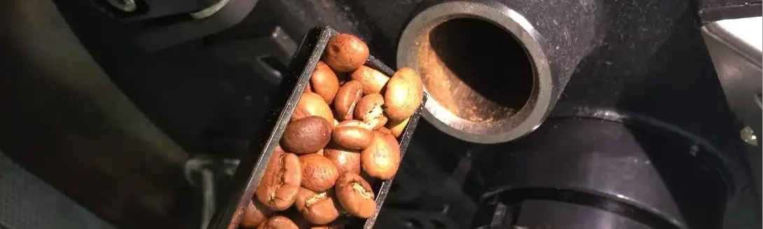 The importance of the roasting date in your coffee experience is often underestimated. This article examines the regulations concerning labeling and their significance for you as an informed consumer. Learn how the freshness of beans influences the aromas and taste of your coffee, as well as the crucial importance of paying attention to this date to maximize the pleasure of each cup. Don't let chance guide your choices; engage with our in-depth analysis on this fundamental topic for all coffee lovers.