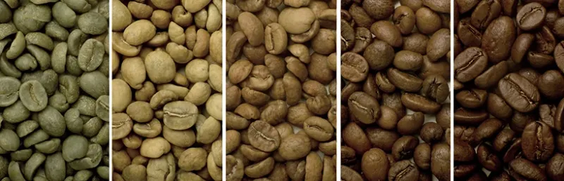 Chicchi di caffè appena tostati