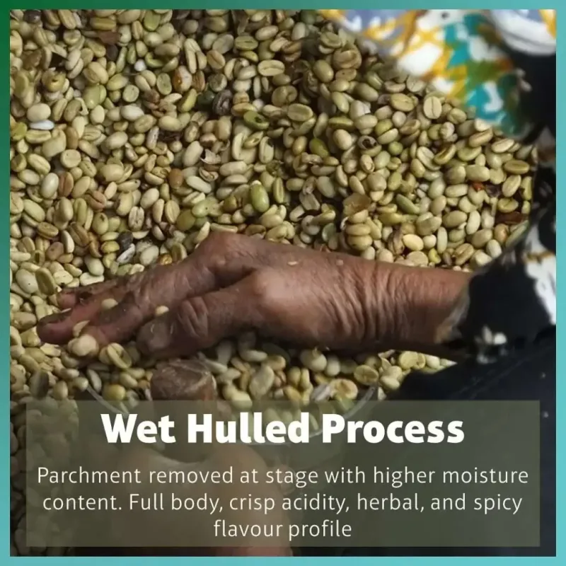 Processo semi-lavato