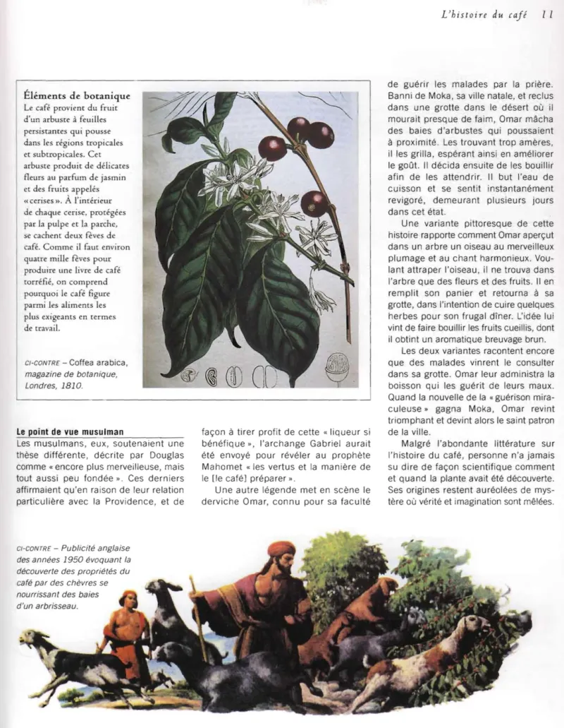 Geschiedenis en handel van koffie