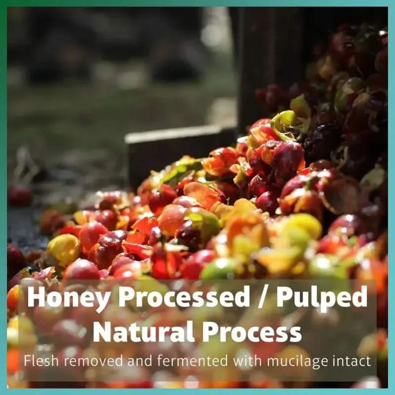 Proces honey - ziarna i mucilage