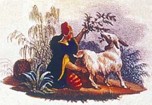 Kaffets legendariska ursprung