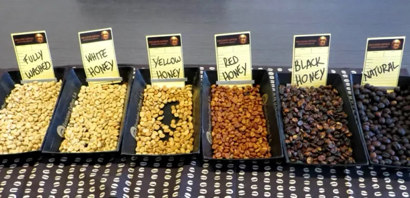 Kaffebearbetning: nyckelfaser