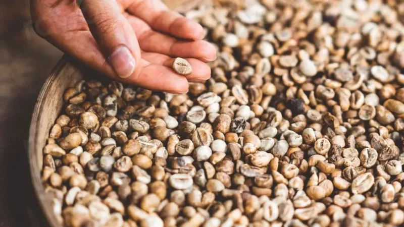 Urval av specialkaffen fran KB Roasters och Kawa, januari 2024